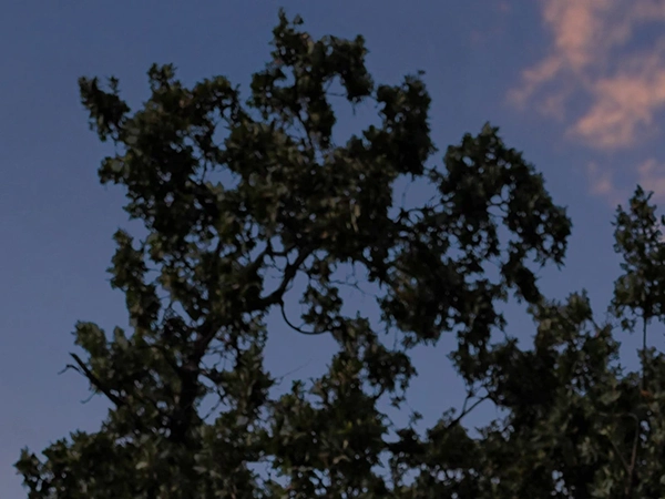 Creative Edit Sky Replacement