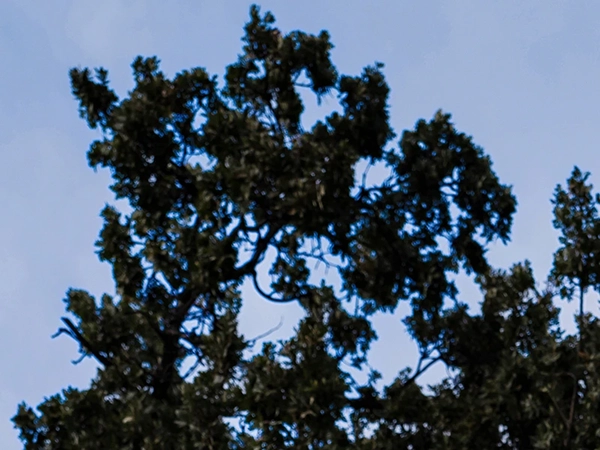 Creative Edit Sky Replacement