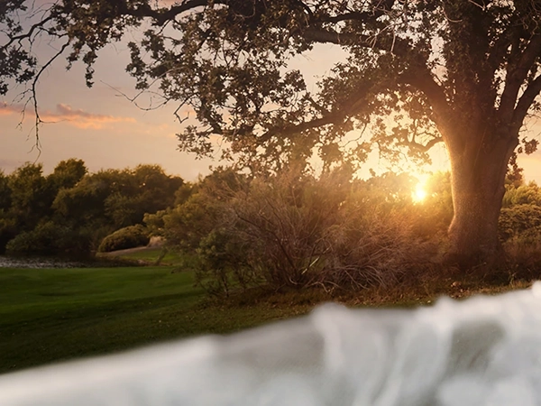 Creative Edit Sky Replacement