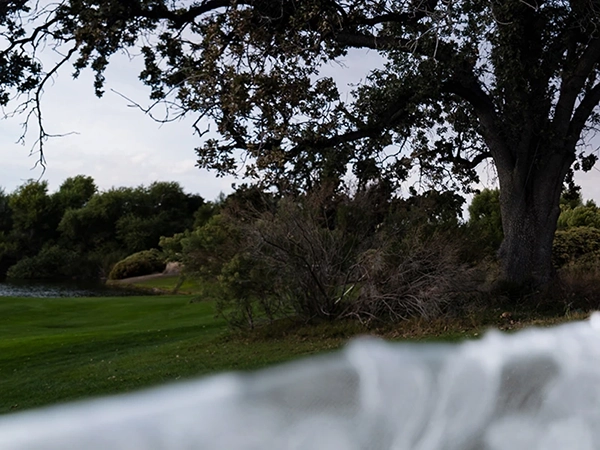 Creative Edit Sky Replacement