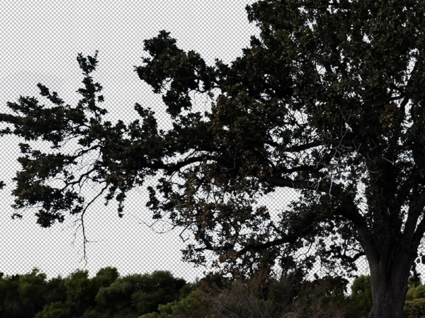 Creative Edit Sky Replacement