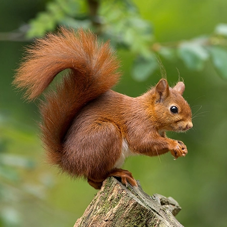 A La Carte Services Galexia Editing