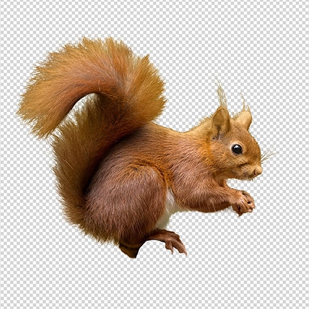 A La Carte Services Galexia Editing